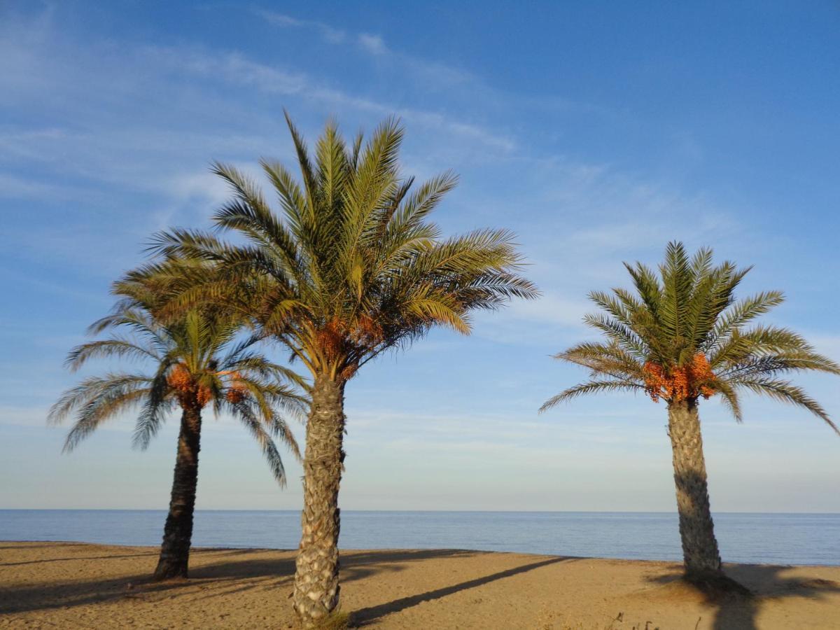 Precioso Apart Sur Y Norte Cerca Playa Y Centro - Cascadas De La Marina Дения Экстерьер фото